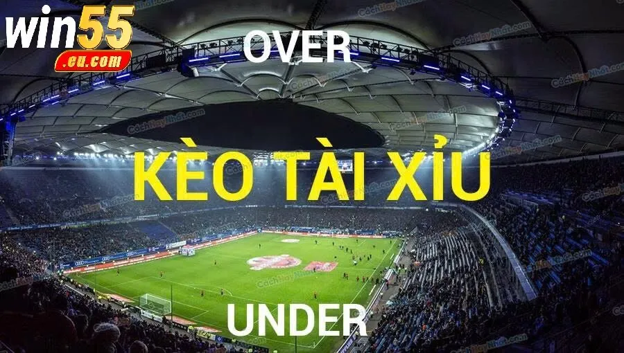 Tổng Quan Về Kèo Tài Xỉu Win55